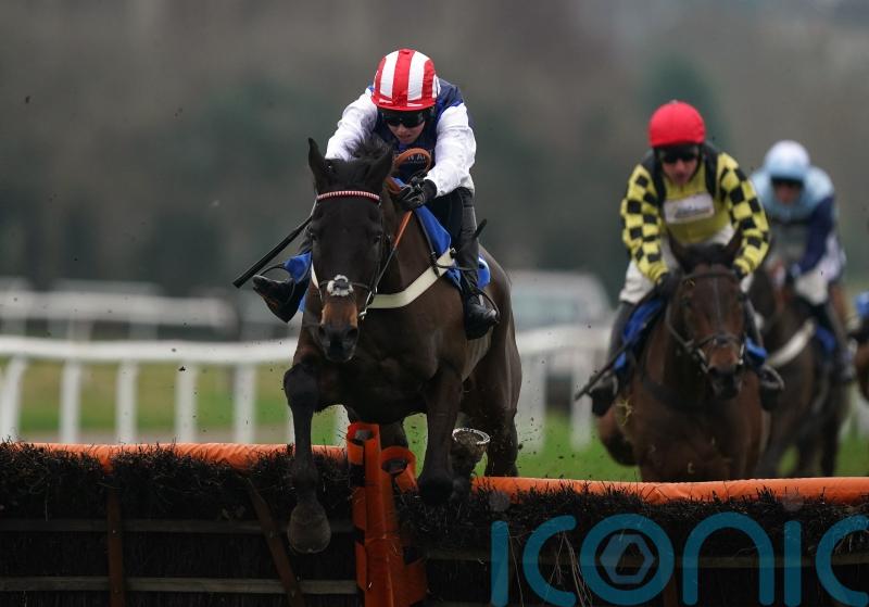 Bowtogreatness delights Redknapp with Newbury success