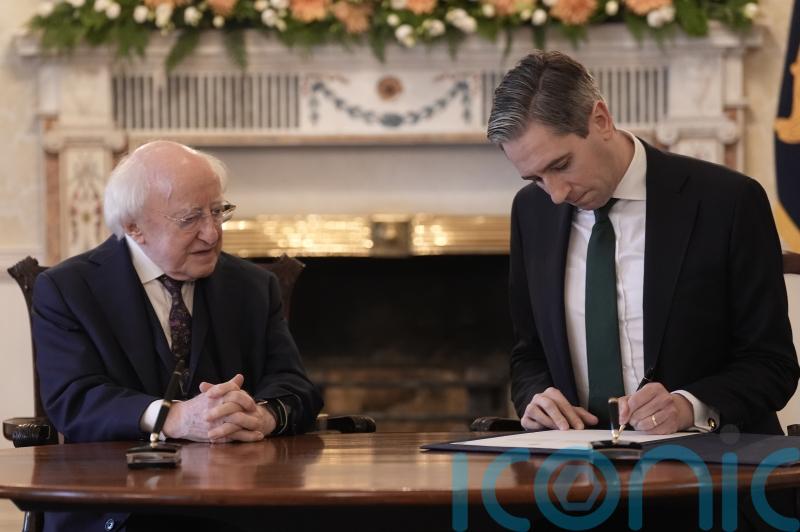 &lsquo;Time is right&rsquo; for Irish election, says Harris as candidates hit campaign trail