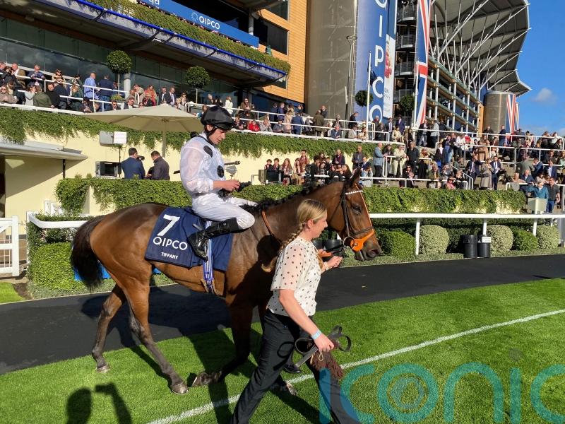 Tiffany so close to Group One glory in Germany