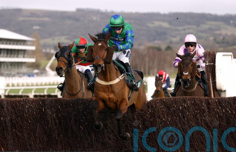 Ga Law back in the hunt for Paddy Power Gold Cup honours