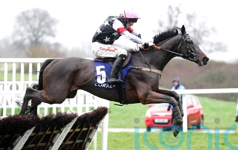 Soft ground key to Salver&rsquo;s Ascot Hurdle challenge