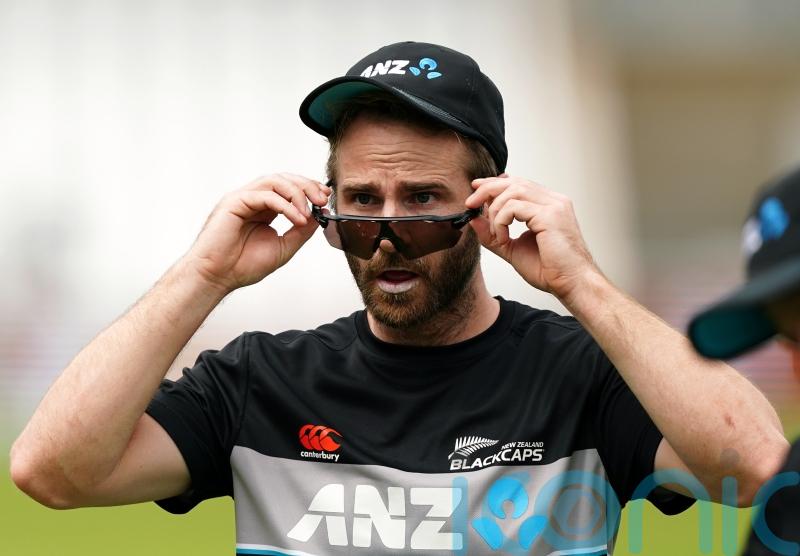 Selection headache for New Zealand as Kane Williamson returns to squad