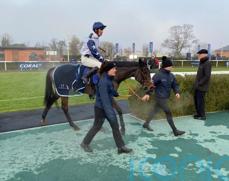 Brentford hope for cricketing ace against Sir Gino and Mystical Power