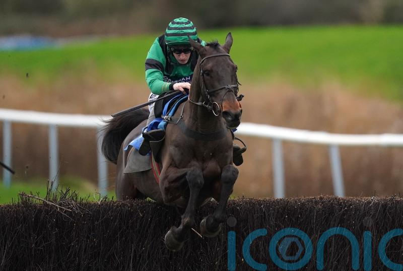 Arizona Cardinal back in good spirits and Aintree bound again