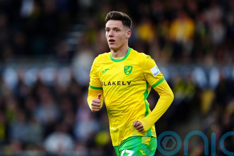 Ante Crnac at the double as Norwich see off Luton