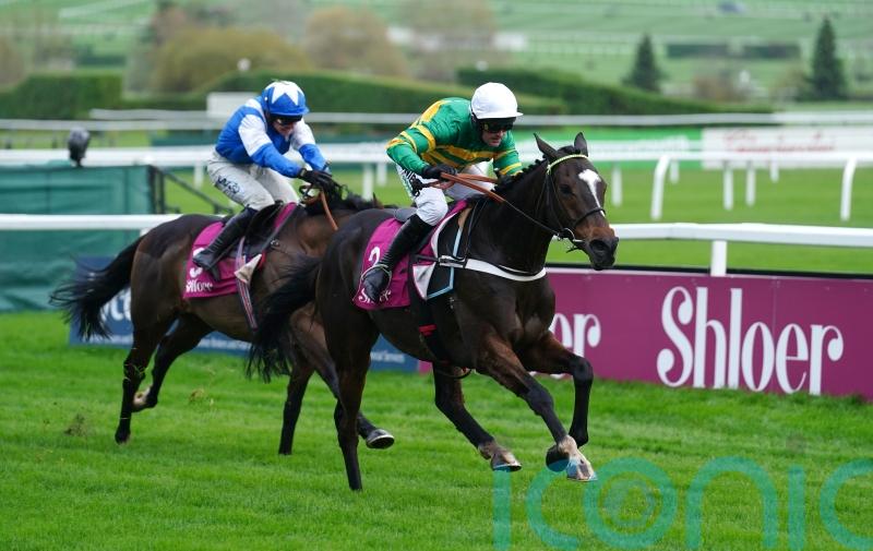 Jonbon heads eight contenders for Tingle Creek crown