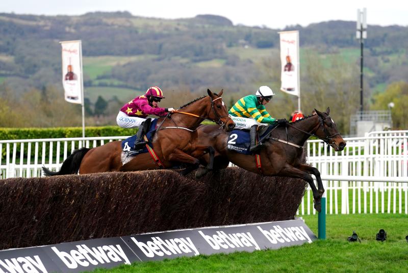 Tramore earmarked as starting point for Gold Cup hope Monty&rsquo;s Star