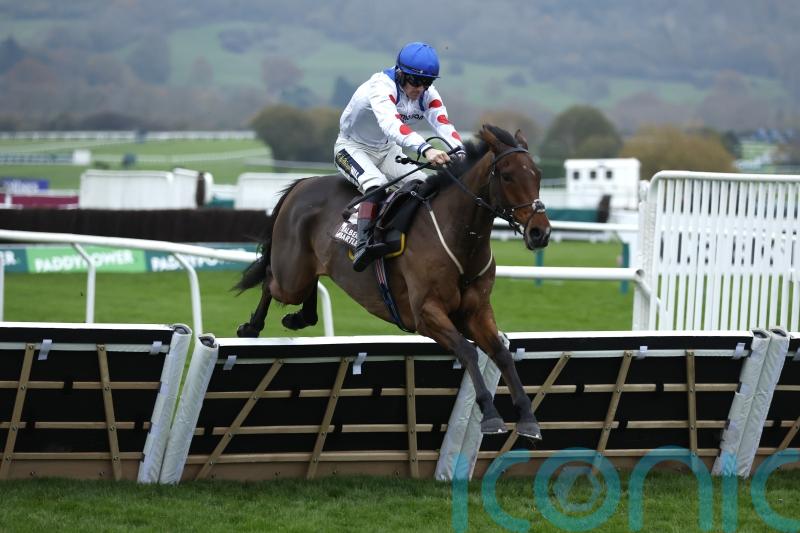 Next stop Cheltenham Festival for hot prospect Potters Charm