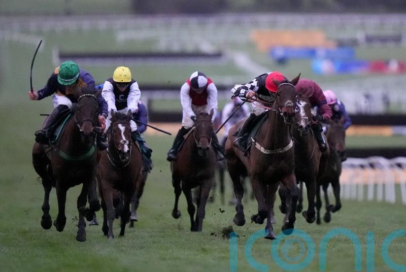 Precious victory for Henrietta Knight at Cheltenham