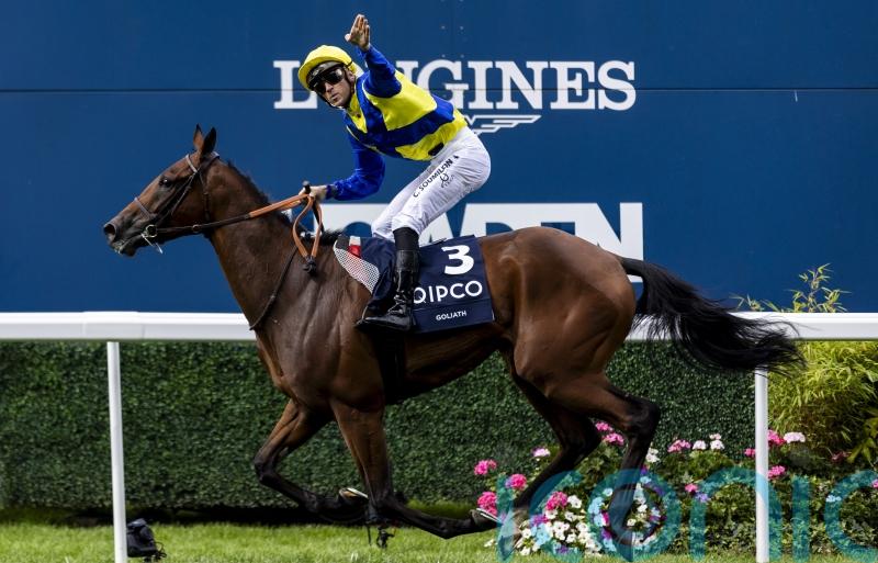 King George boosted by record prize fund and &lsquo;run for free&rsquo; initiative