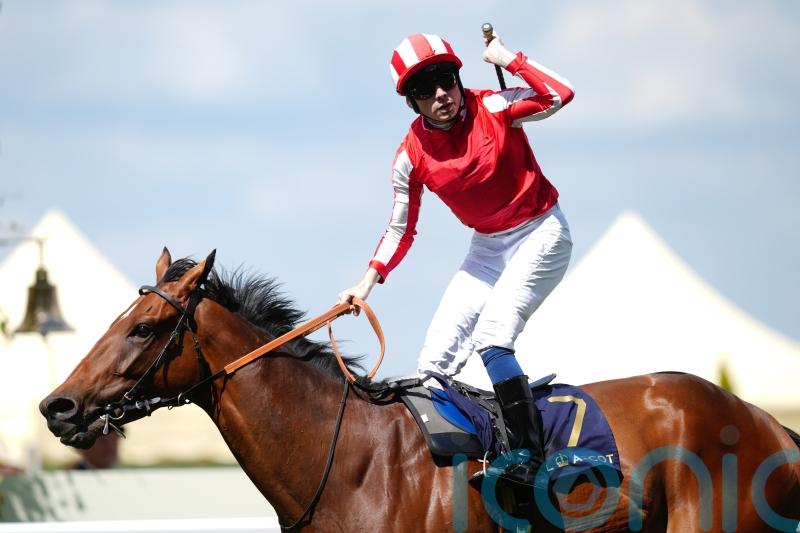 Shepherd hunting Group One gold in 2025