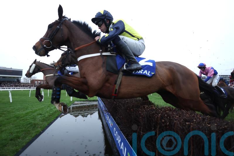 Surrey Quest hoping to beat the weather for Kempton run