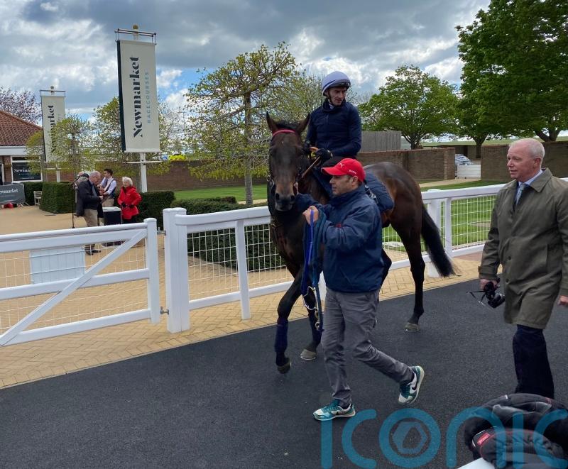 Night Raider likely to be saved for turf sprint campaign