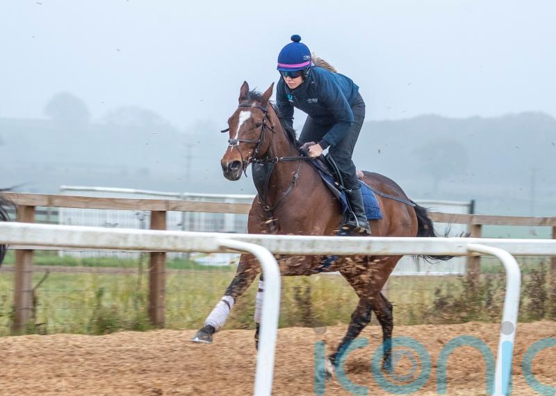 Rebecca Menzies has big-race options for Boomslang