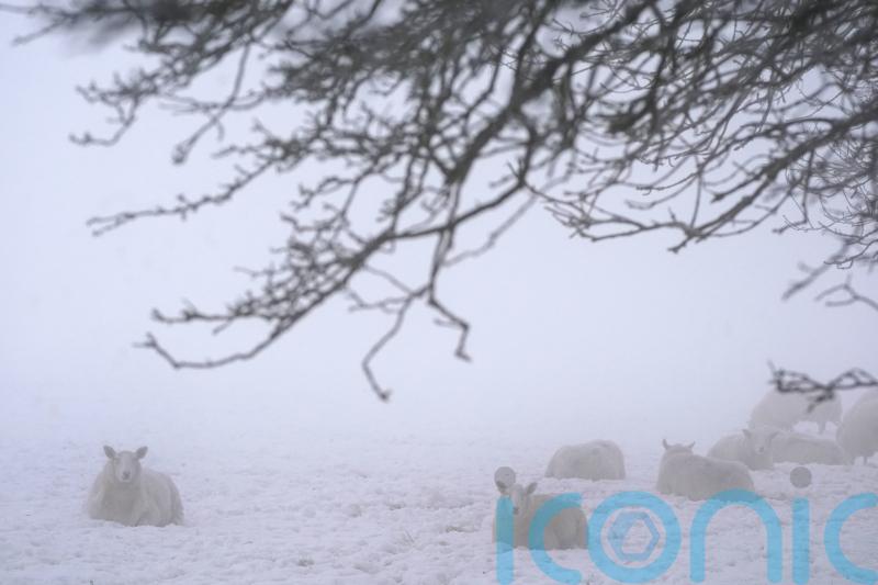End of cold snap &lsquo;in sight&rsquo; in Ireland