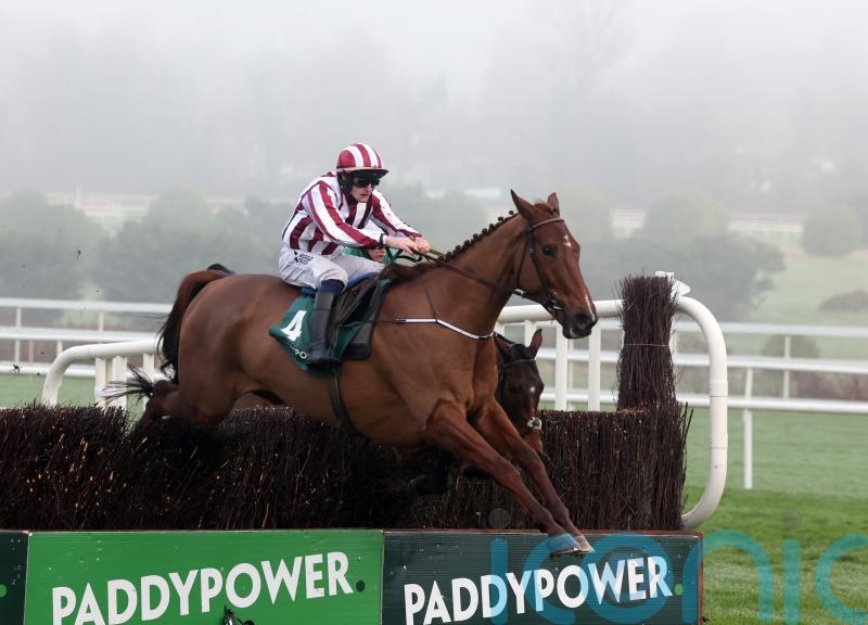 O&rsquo;Loughlin weighing up Windsor for Jeannot Lapin