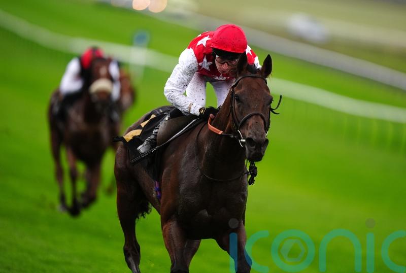 Clover sets sights on Red Sea riches with Al Nayyir