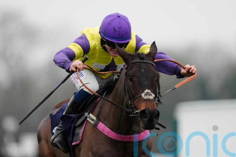 Nemean Lion hunts down Salver for gutsy success