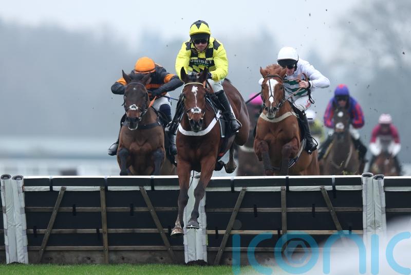 Triumph favourite Lulamba sparkles on Ascot bow