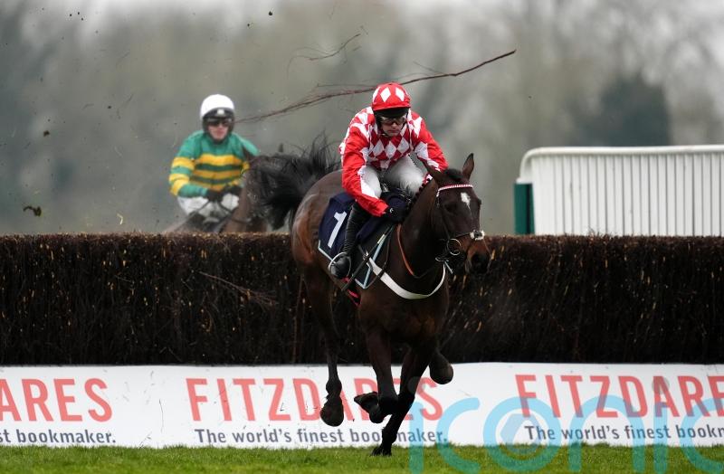 Jingko Blue picks up Hampton honours at Windsor