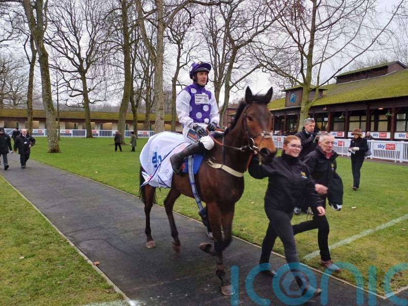 Dedicated Hero will look to enhance excellent Kelso record