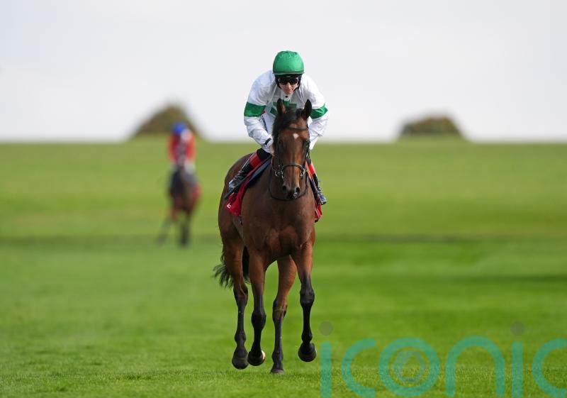 Quantum hoping leap of faith with Tamfana pays dividends again