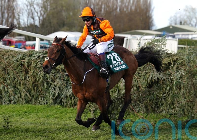 Noble Yeats getting plenty of &lsquo;TLC&rsquo; but racing future very much up in the air