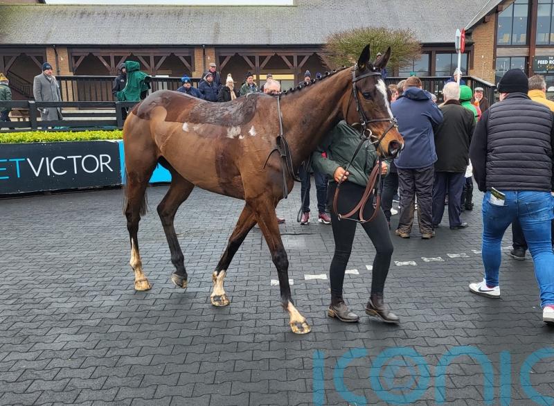 Kieswetter hoping Karbau can hit Cheltenham rivals for six