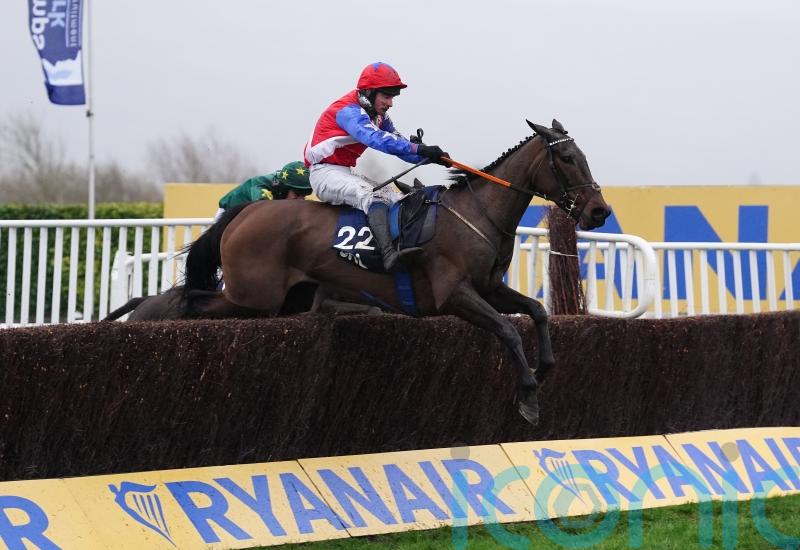 Angels Dawn on the hunt for more Cheltenham glory