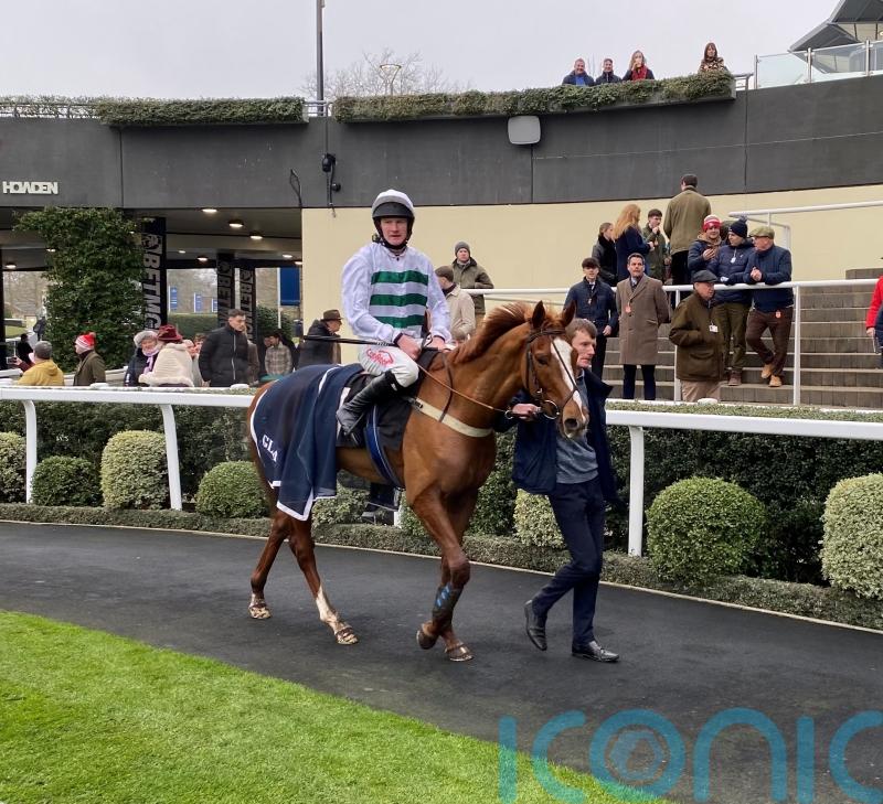 Mondo Man shaping up for Palladium clash at Kempton