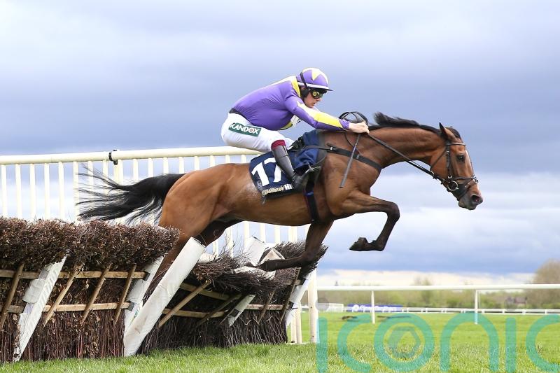 Gwennie May Boy is a notable winner for Charlie Todd