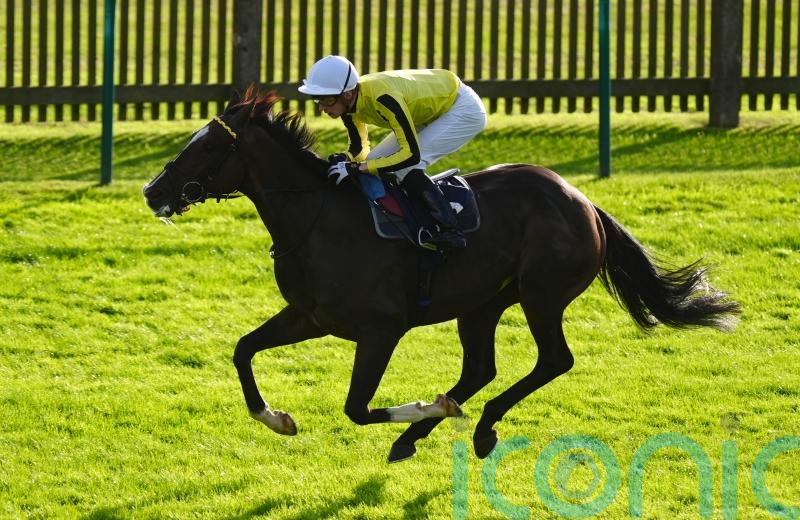 Burdett Road remains on Cheltenham course