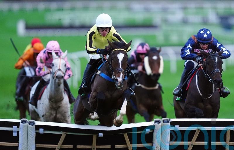 County &lsquo;probably&rsquo; favoured over Champion Hurdle for Burdett Road