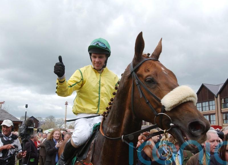 Beef Or Salmon still loving life among the Irish National Stud legends