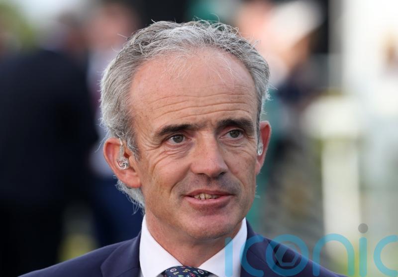 &lsquo;Spectacular&rsquo; Brighterdaysahead can do an Annie Power in Champion Hurdle, says Walsh