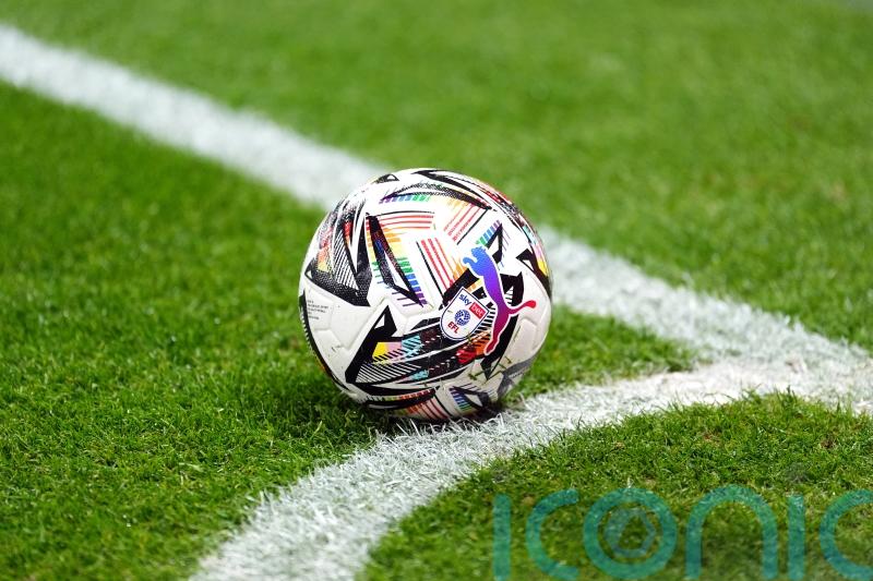 Government should be able to order football regulator to review decisions &ndash; MP