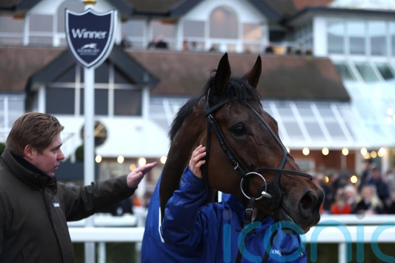 Skelton not doubting Lion&rsquo;s heart for a Festival fight