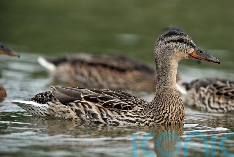 More than &pound;17m awarded for cross-border water quality projects