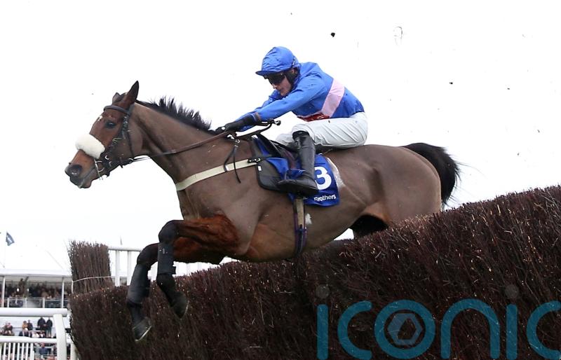 Libberty in the hunt for Punchestown honours