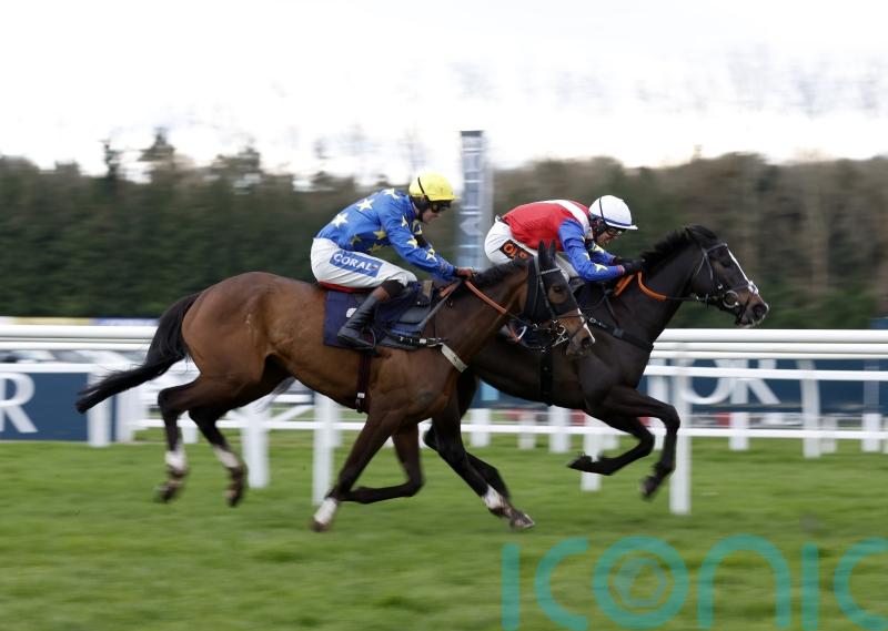 Connections feel Jasmine Bliss can blossom again at Newbury