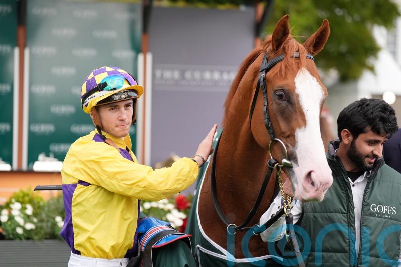 All eyes on Newmarket for Scorthy Champ