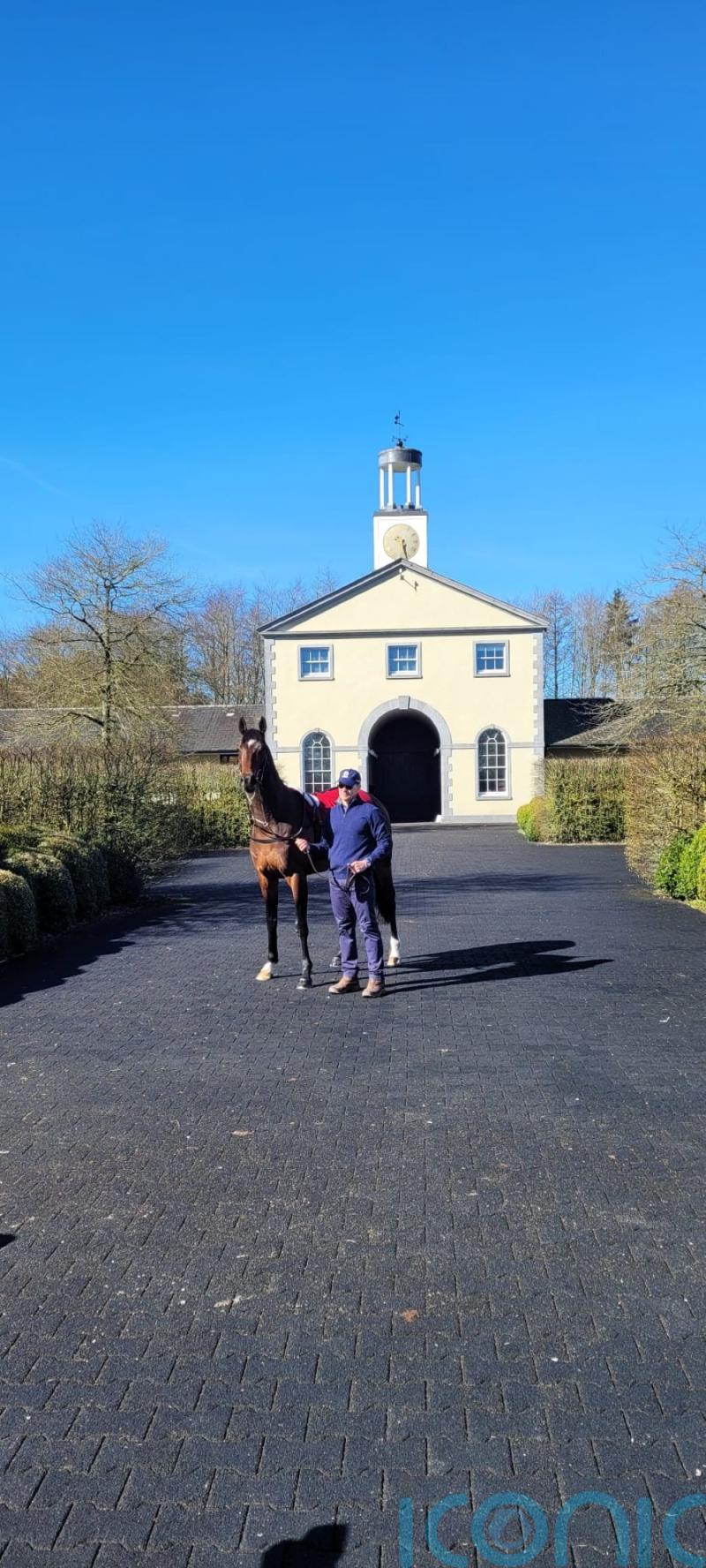 O&rsquo;Brien hints Twain may lead Newmarket 2000 Guineas team