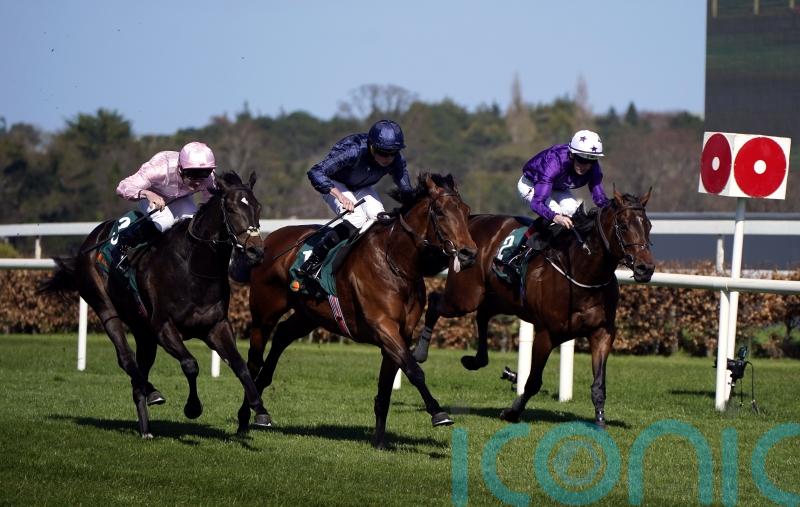 Henri Matisse firmly in Guineas picture following return strike