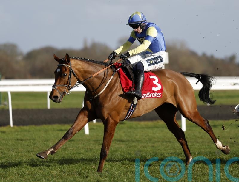 Tripoli Flyer seeking Top compensation at Aintree