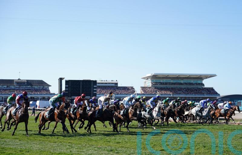 World Horse Welfare &lsquo;deeply saddened&rsquo; by death of Celebre d&rsquo;Allen