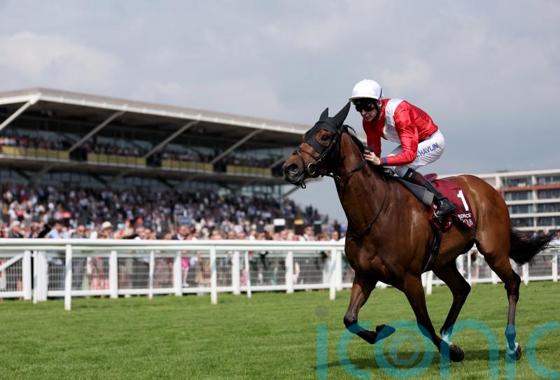 Upgraded City of York Stakes one of the main targets for Audience