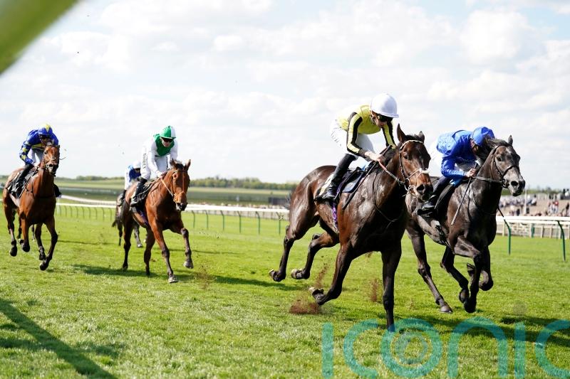 Pellitory picks up nice Newmarket prize &ndash; and set for bigger things