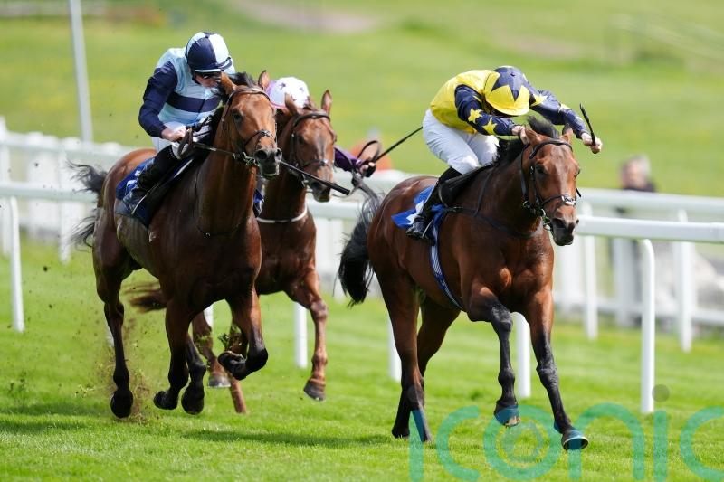 Sea Scout battles on bravely to land Blue Riband Trial