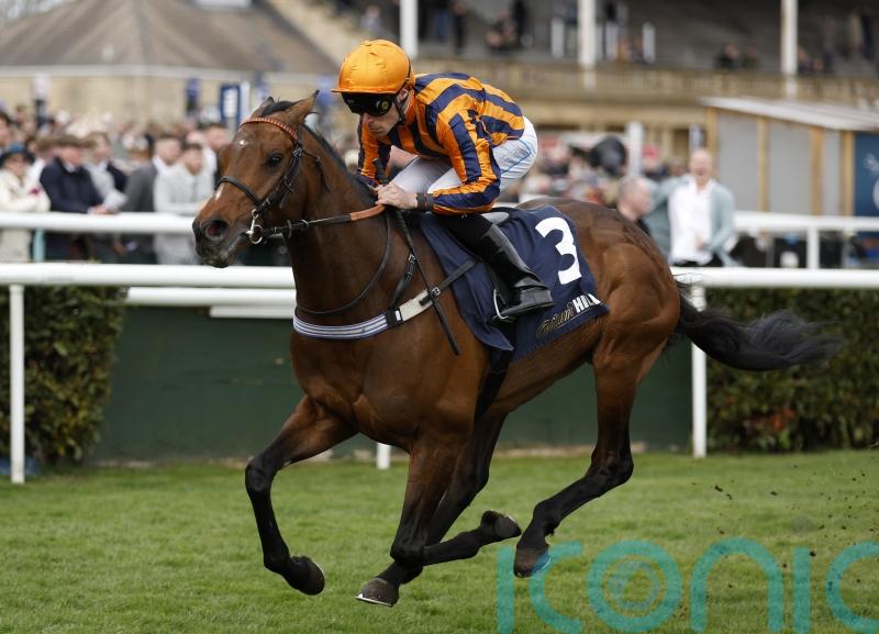 Dancing Gemini follows familiar Mile route at Sandown