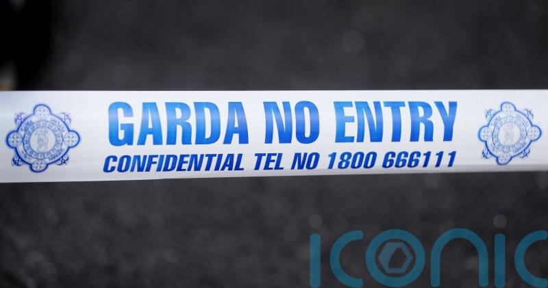 Teenage girl dies after car enters water in Co Tipperary
